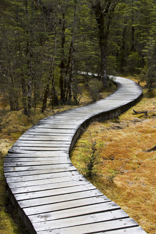 Wetland Circut Boardwalk